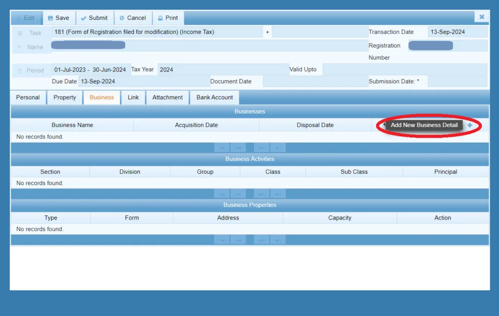 Sole Proprietorship business detail